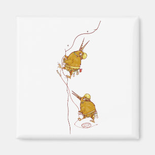 Kiwi NZ BIRDS ROCK CLIMBING Magnet