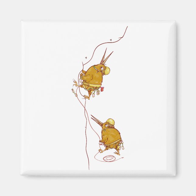 Kiwi NZ BIRDS ROCK CLIMBING Magnet (Front)