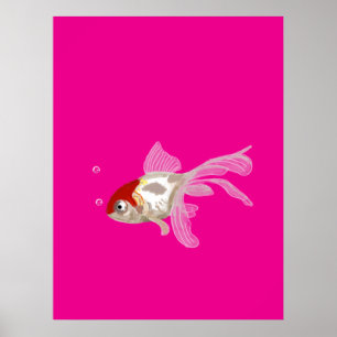 Kleiner Goldfisch - Poster