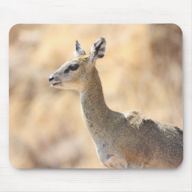 Klipspringer antelope mouse mat (Front)