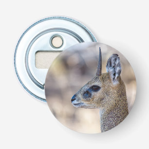Klipspringer Portrait Bottle Opener