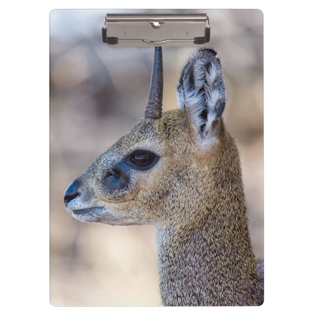 Klipspringer Portrait Clipboard (Front)