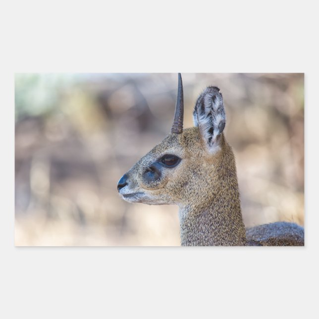 Klipspringer Portrait Rectangular Sticker (Front)