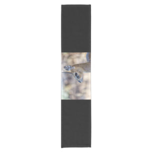 Klipspringer Portrait Short Table Runner
