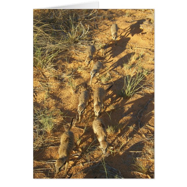 KMP Card 10 - Moomins bee-line (Front)