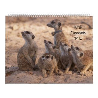 KMP Meerkat 2025 Calendar