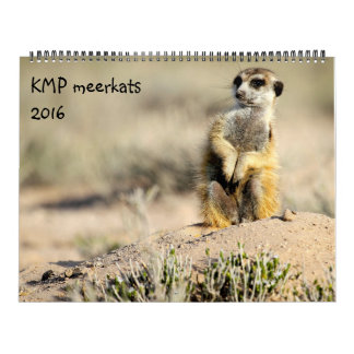 KMP Meerkats - 2016 Calendar