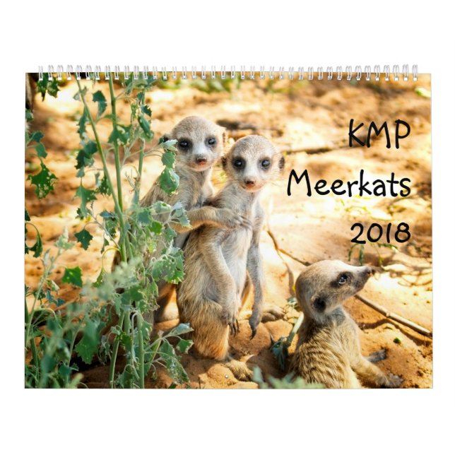 KMP Meerkats - 2018 Calendar (Cover)