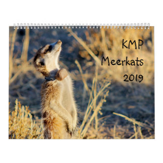 KMP meerkats - 2019 calendar