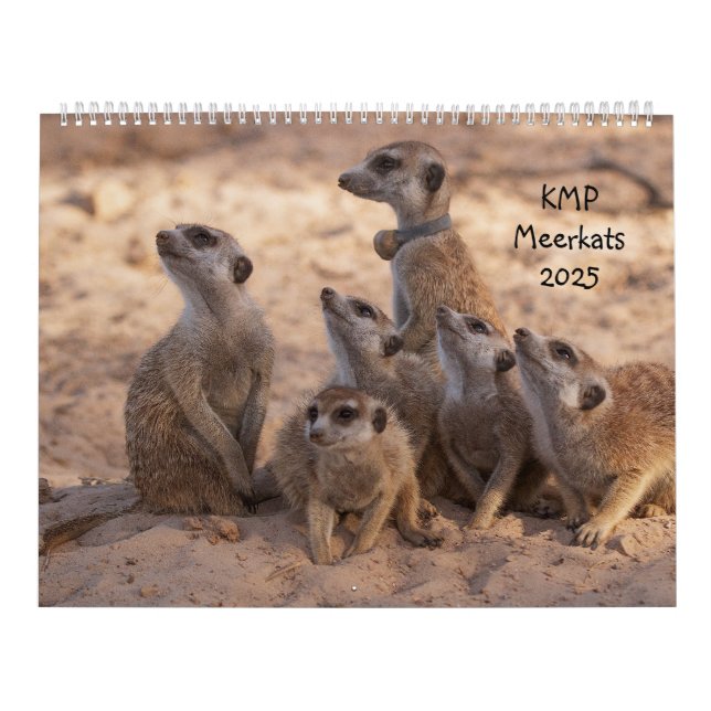 KMP Meerkats 2025 Calendar (Cover)