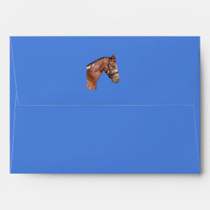 Knabstrupper Stallion Blue Envelope