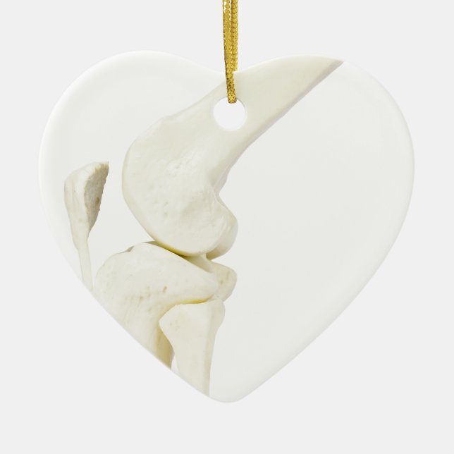 Knee joint model of human leg ceramic tree decoration (Front)