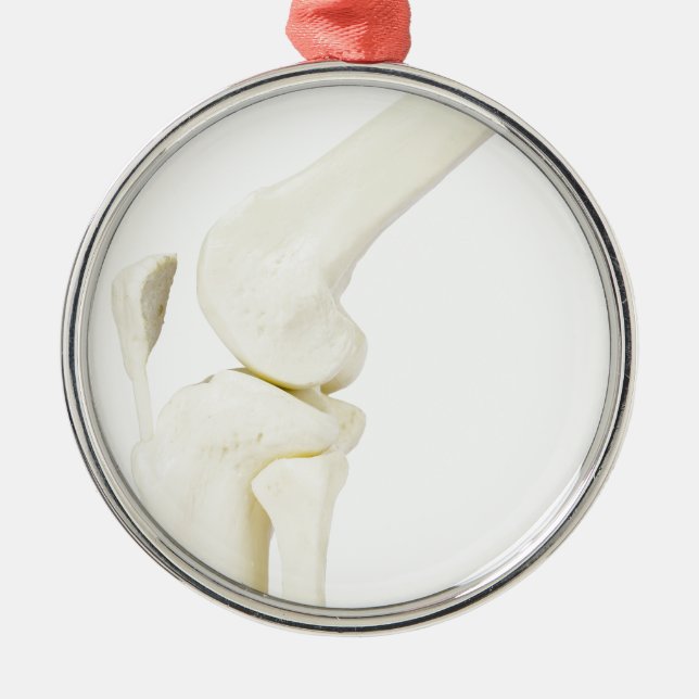 Knee joint model of human leg metal tree decoration (Front)