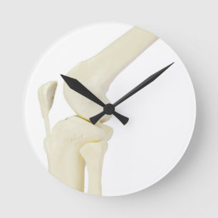 Knee joint model of human leg round clock