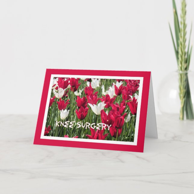 Knee Surgery Card, Red White Tulips Card (Front)