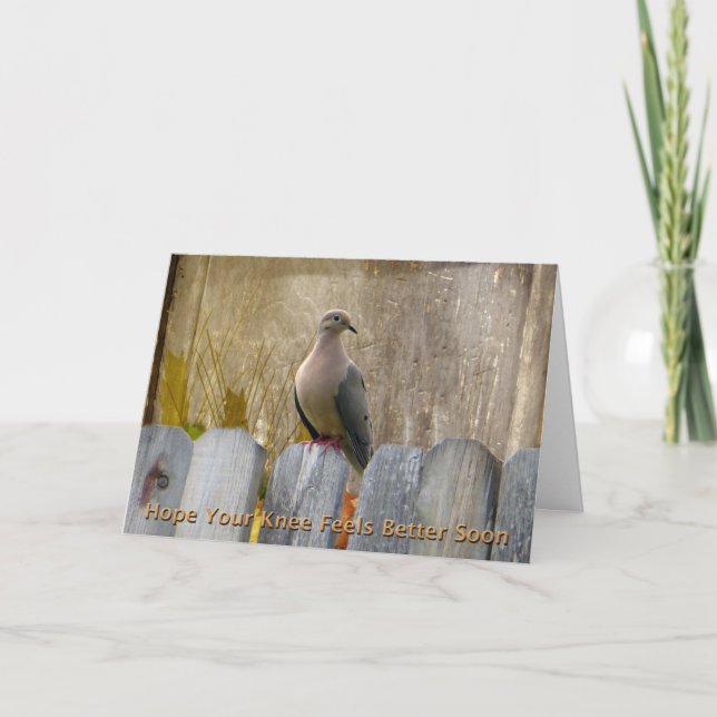 Knee Surgery Get Well Soon Love Dove Card (Front)