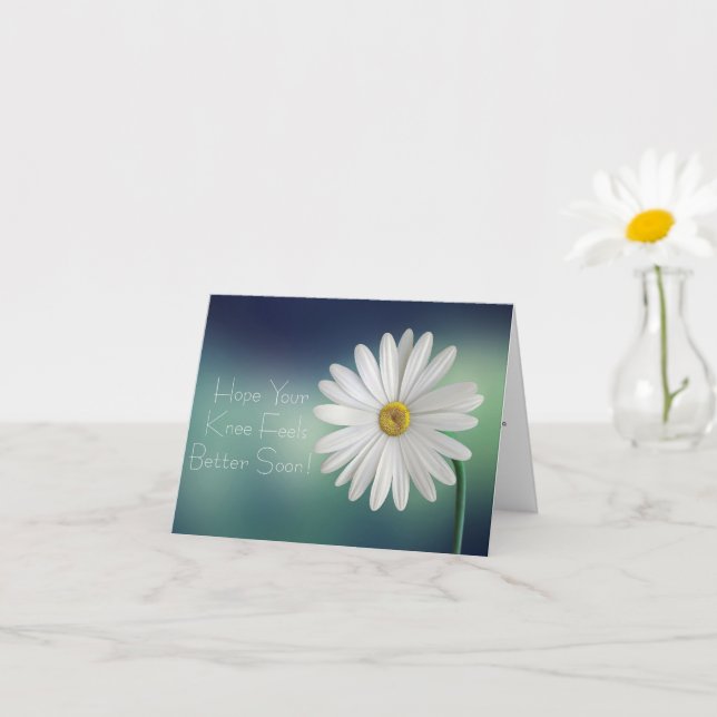 Knee Surgery Get Well Soon White Daisy Card (Small Plant)