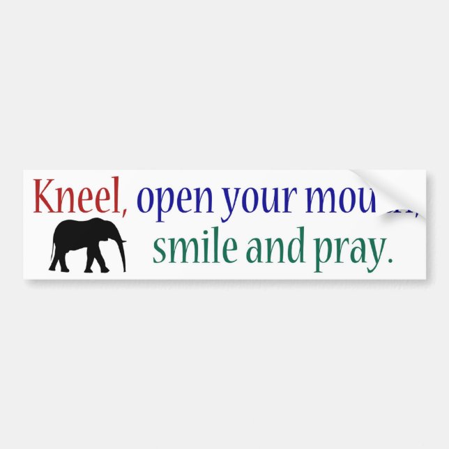 Kneel WFE Colour Bumper Sticker (Front)