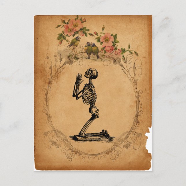 Kneeling Skeleton Postcard (Front)