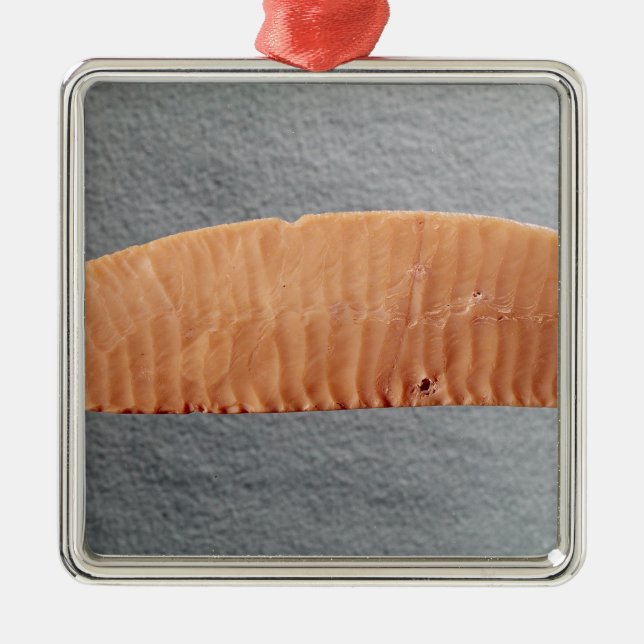 Knife blade metal tree decoration (Front)