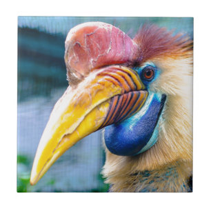 Knobbed Hornbill Tile