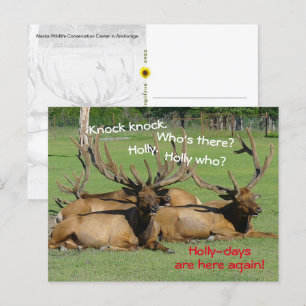 Knock Knock Holly-days, Anchorage, AK - Postcard