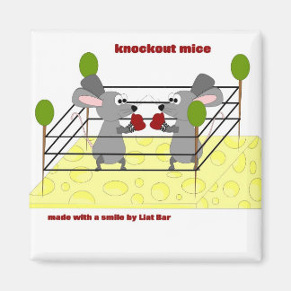 knockout mice magnet