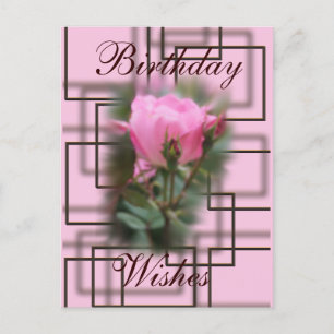Knockout Rose & Chocolate Postcard- customise it Postcard