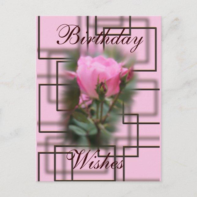 Knockout Rose & Chocolate Postcard- customise it Postcard (Front)