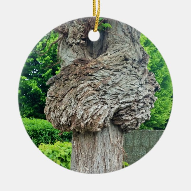 Knot on Tree Trunk, Knar, Nature Green Ceramic Tree Decoration (Front)