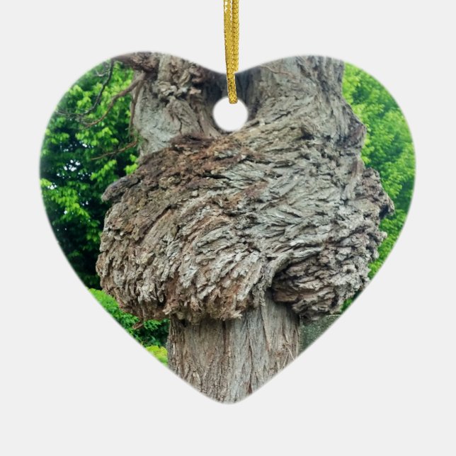 Knot on Tree Trunk, Knar, Nature Green Ceramic Tree Decoration (Front)