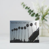 Knott's Berry Farm, California Postcard (Standing Front)