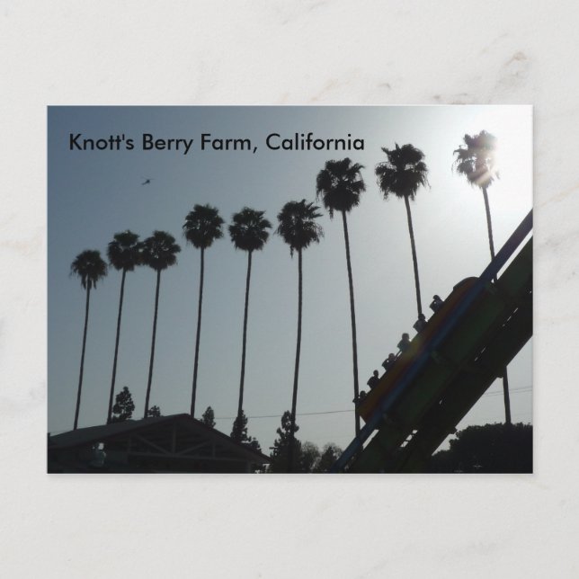 Knott's Berry Farm, California Postcard (Front)