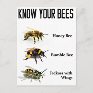 Know Your Bees Postcard