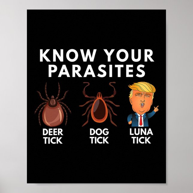 Know Your Parasites Deer Tick Dog Tick Luna Tick A Poster (Front)