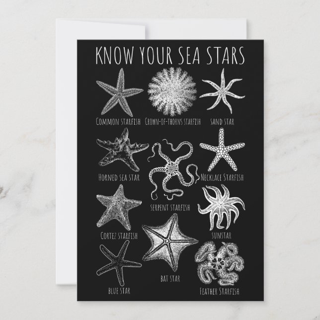 Know Your Sea Stars – Starfish Groups Invitation (Front)