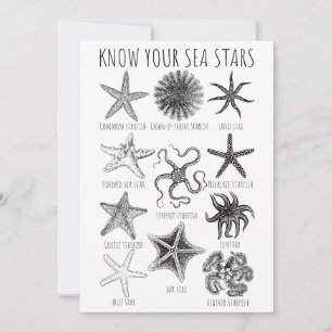 Know Your Sea Stars – Starfish Groups Invitation