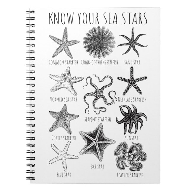 Know Your Sea Stars – Starfish Groups Notebook (Front)