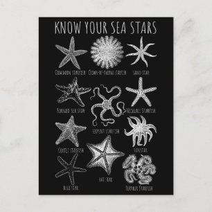 Know Your Sea Stars – Starfish Groups Postcard