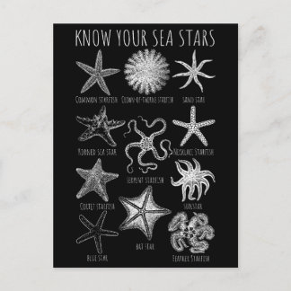 Know Your Sea Stars – Starfish Groups Postcard