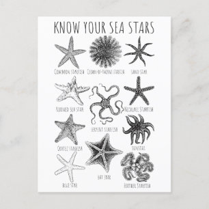 Know Your Sea Stars – Starfish Groups Postcard