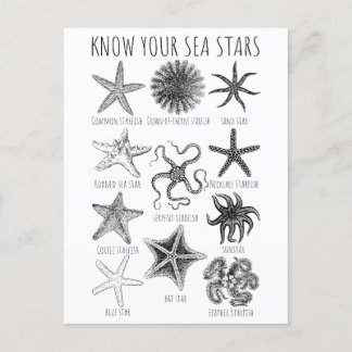 Know Your Sea Stars – Starfish Groups Postcard