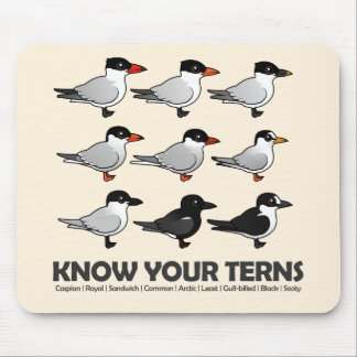 Know Your Terns Mouse Mat