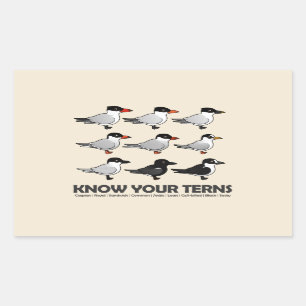 Know Your Terns Rectangular Sticker