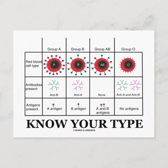 Know Your Type (Blood Types Health Medicine) Postcard (Front)
