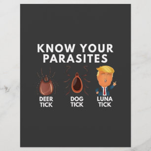 Know you're parasites Anti-Trump Humour Politics Flyer