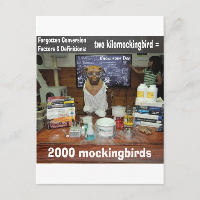 Knowledge Dog Forgotten Conversion kilomockingbird Postcard (Front)