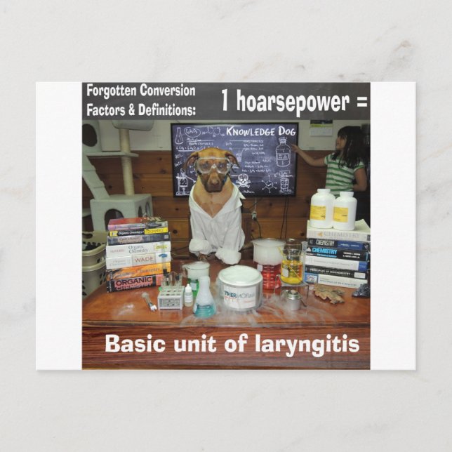 Knowledge Dog Forgotten Conversions Hoarsepower Postcard (Front)