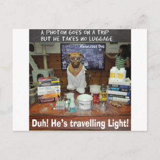 Knowledge Dog Photon Travelling Light Postcard