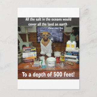 Knowledge Dog Salt in the Oceans Postcard